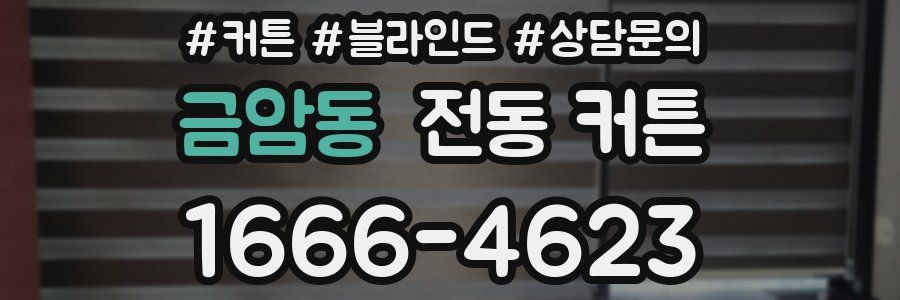 금암동 전동 커튼