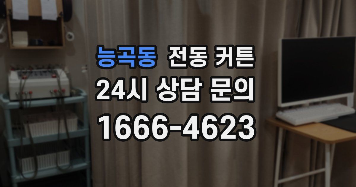 능곡동 전동 커튼