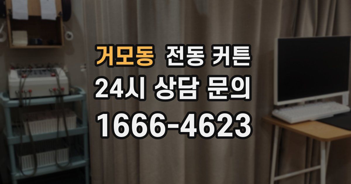 거모동 전동 커튼