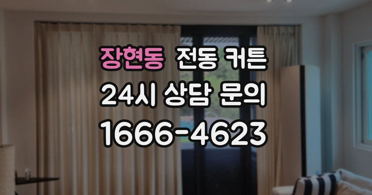 장현동 전동 커튼