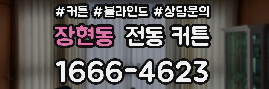 장현동 전동 커튼