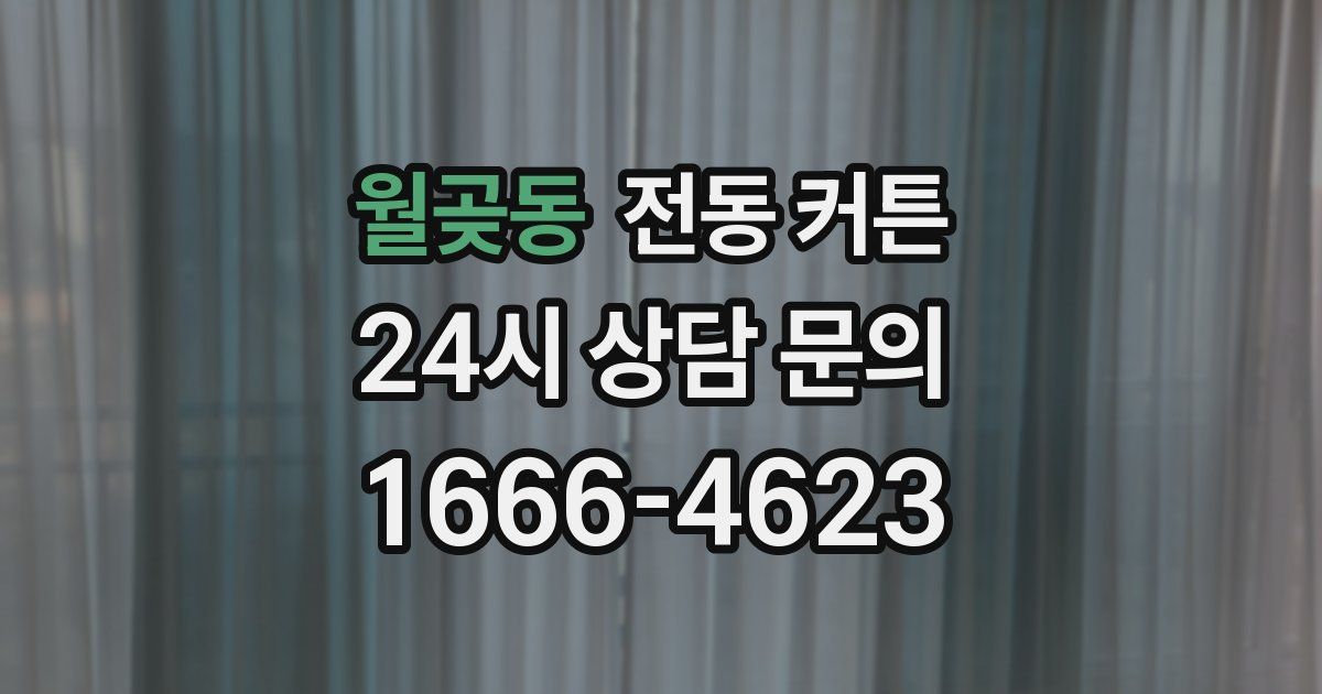 월곶동 전동 커튼