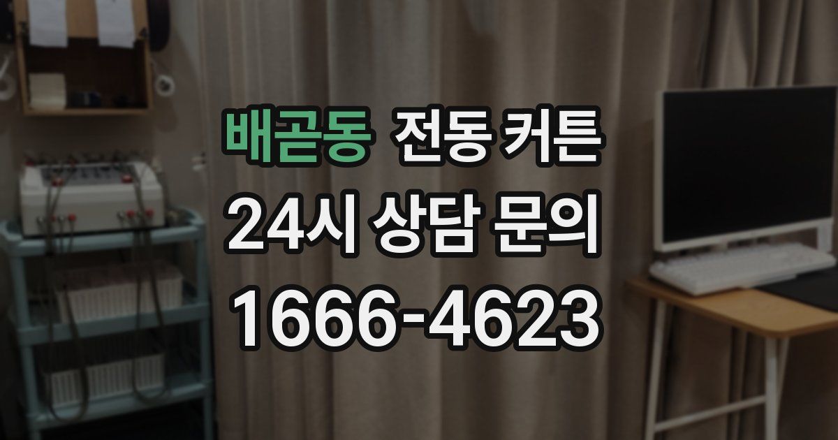 배곧동 전동 커튼