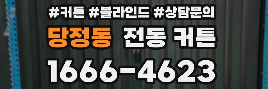당정동 전동 커튼