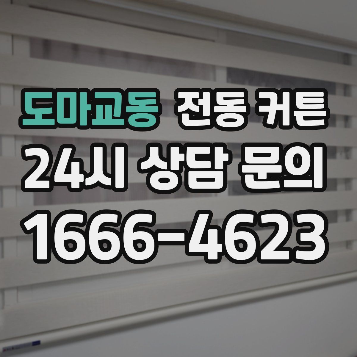 도마교동 전동 커튼