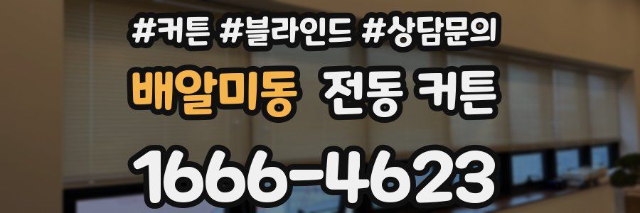 배알미동 전동 커튼