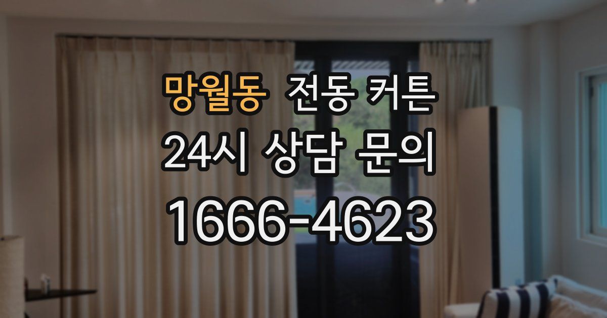 망월동 전동 커튼
