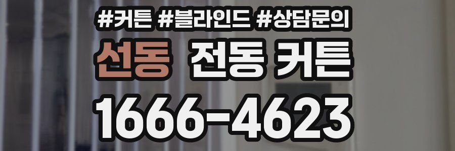 선동 전동 커튼