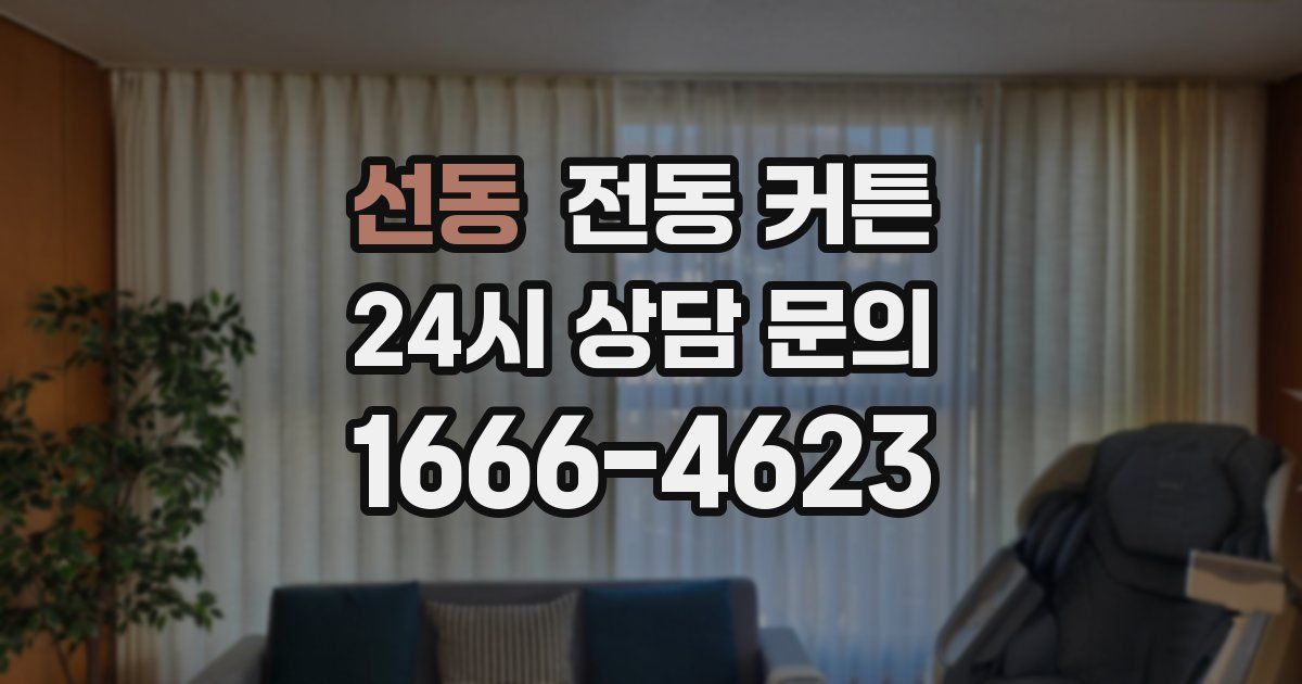 선동 전동 커튼