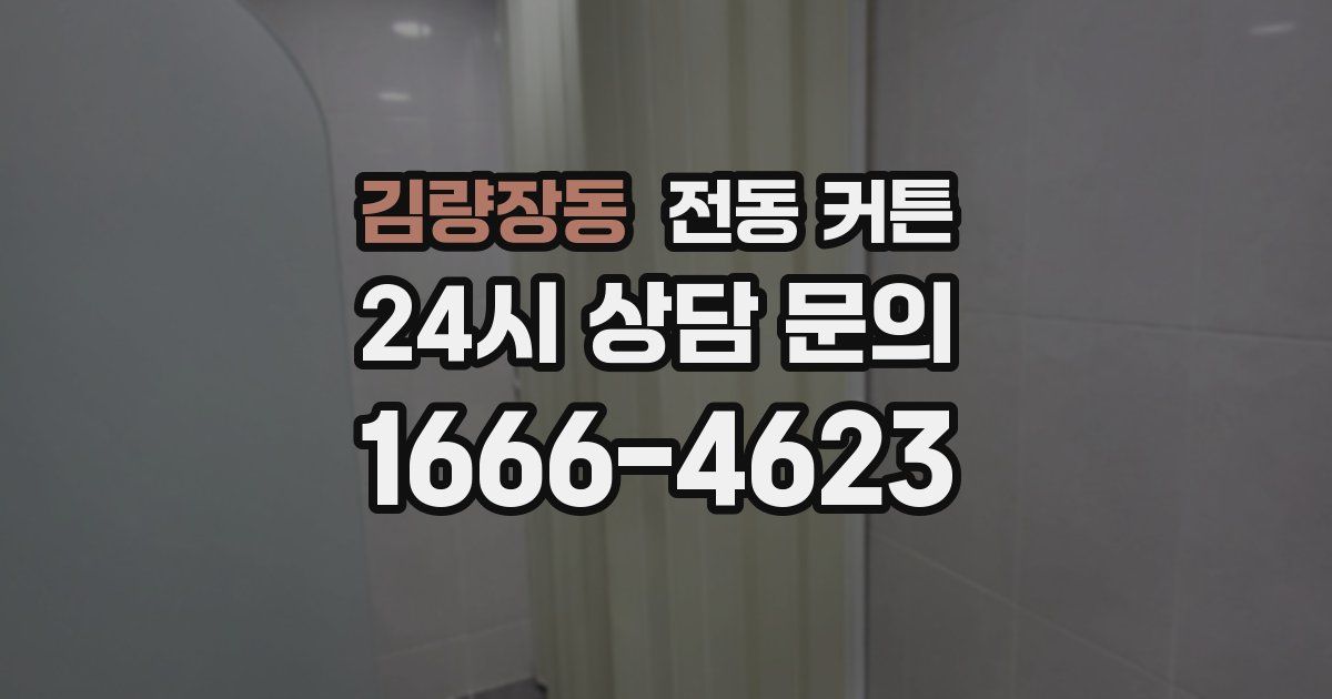 김량장동 전동 커튼