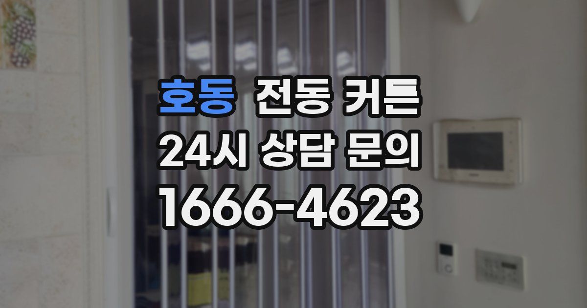 호동 전동 커튼