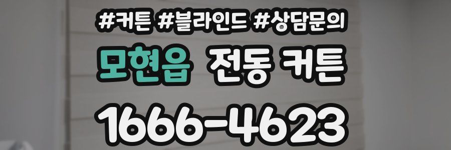 모현읍 전동 커튼