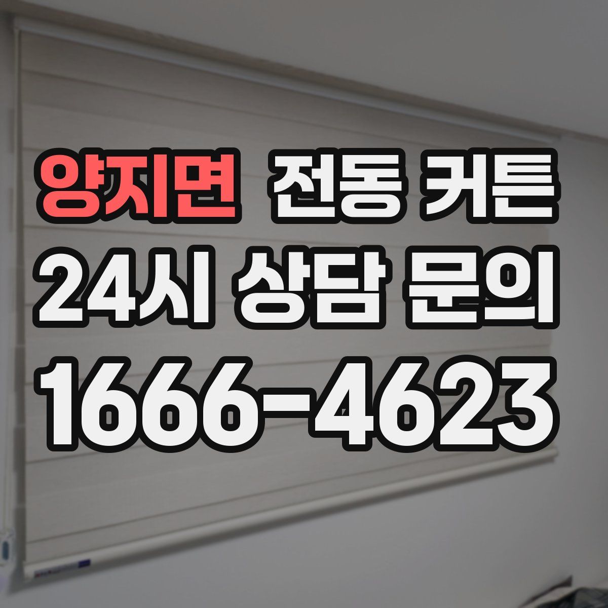 양지면 전동 커튼