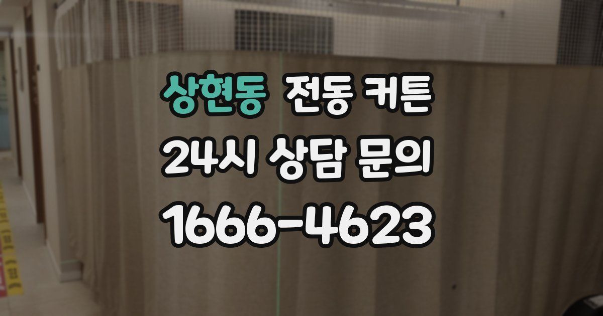 상현동 전동 커튼