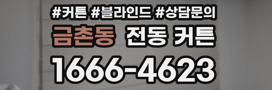 금촌동 전동 커튼