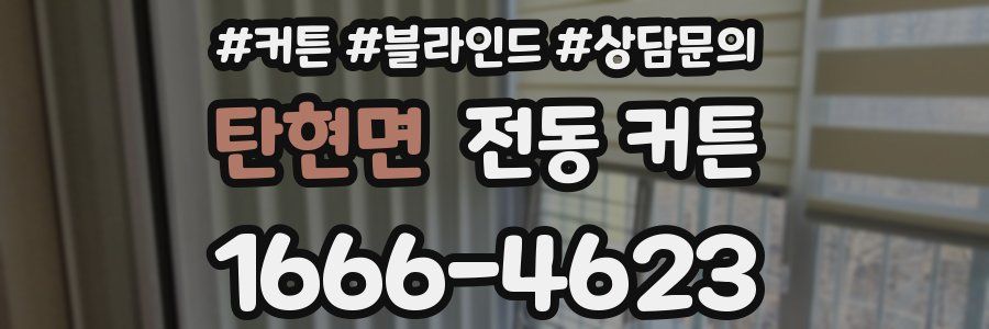 탄현면 전동 커튼