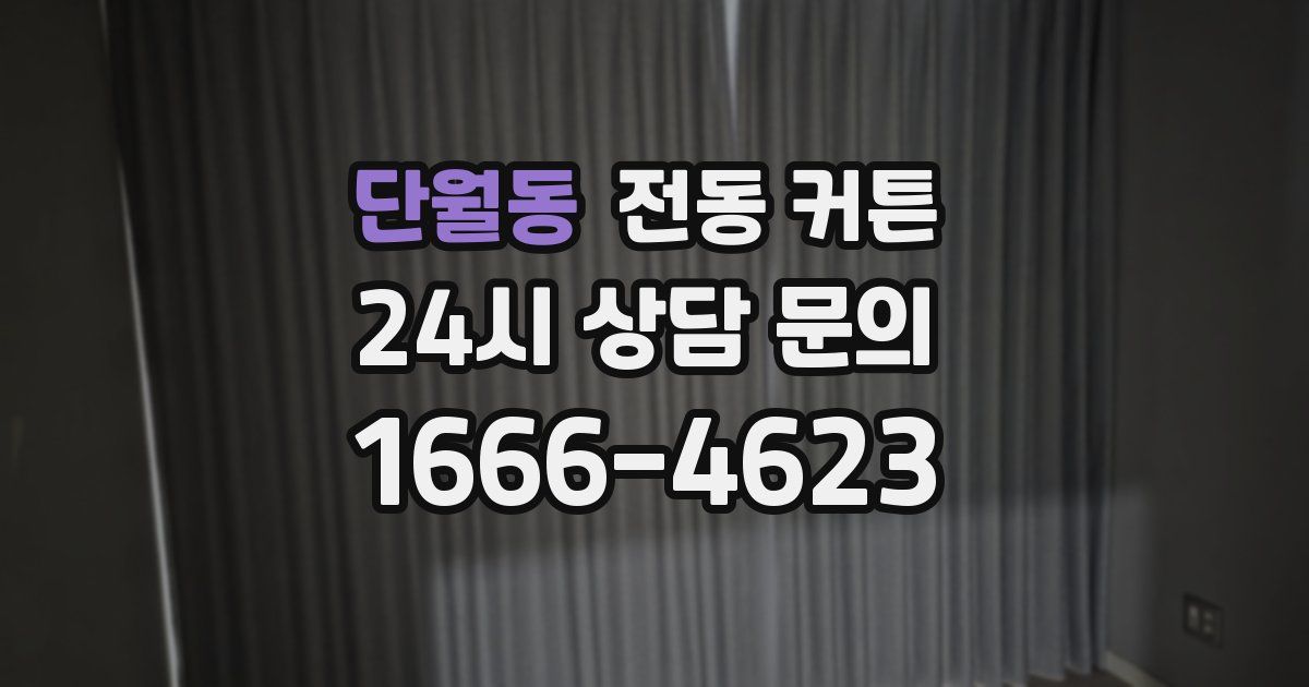 단월동 전동 커튼
