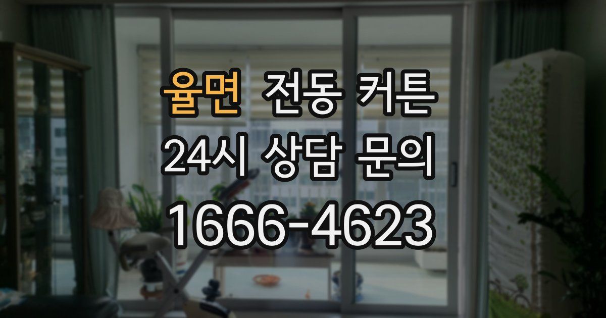 율면 전동 커튼