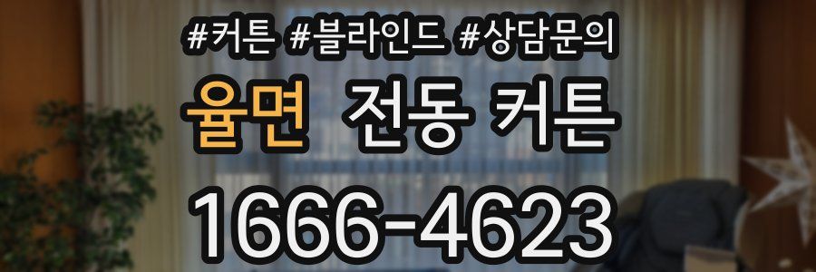 율면 전동 커튼