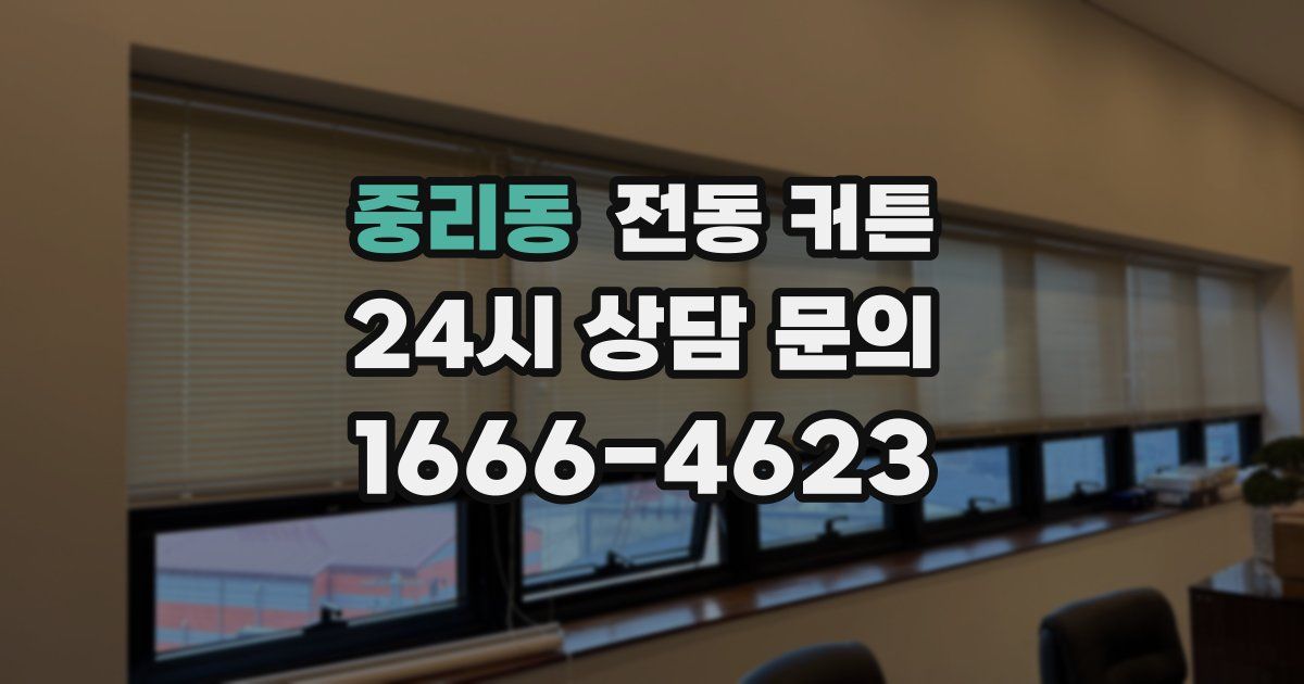 중리동 전동 커튼