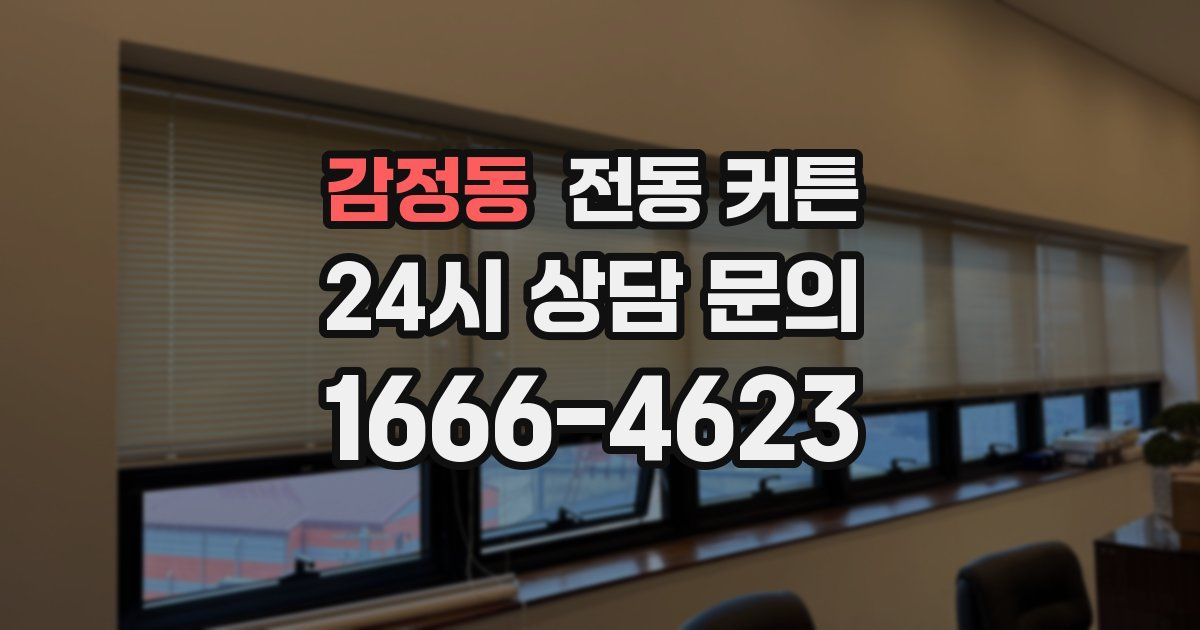 감정동 전동 커튼