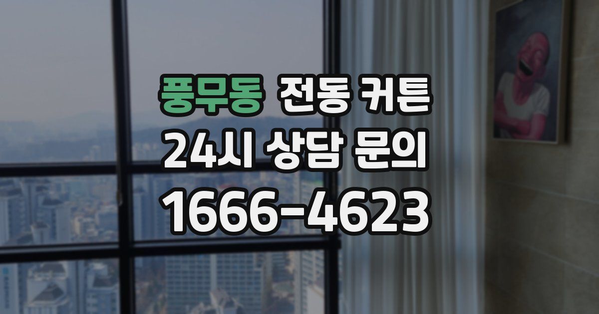 풍무동 전동 커튼