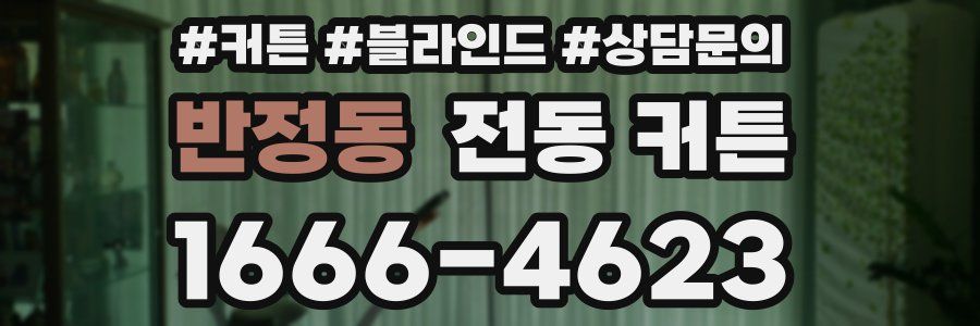 반정동 전동 커튼