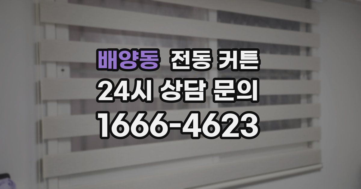 배양동 전동 커튼
