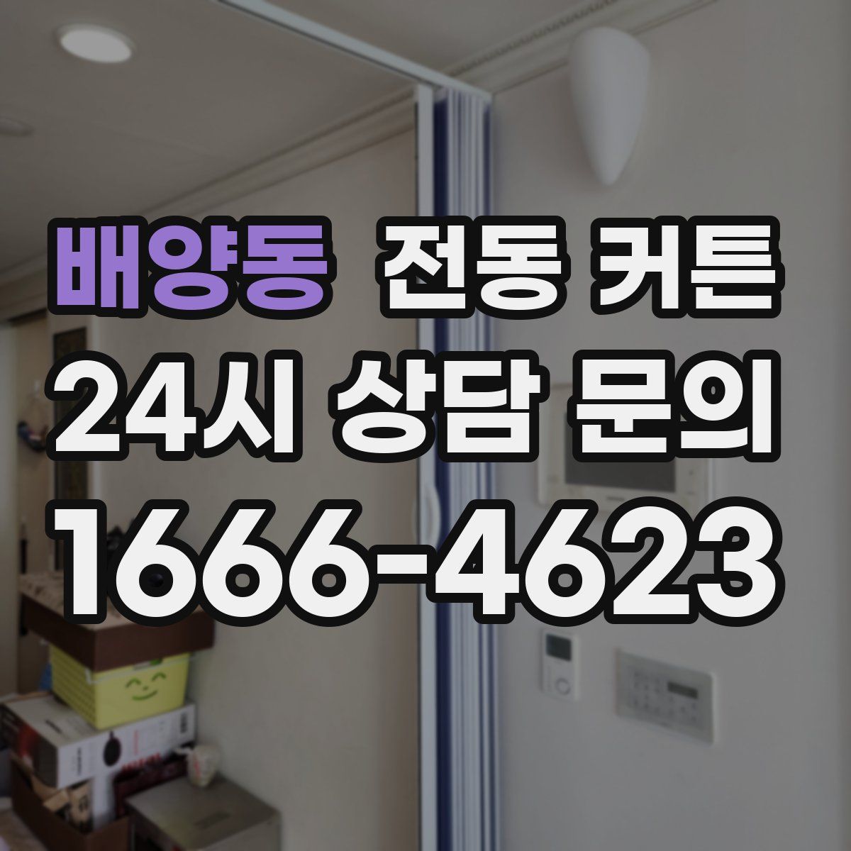 배양동 전동 커튼