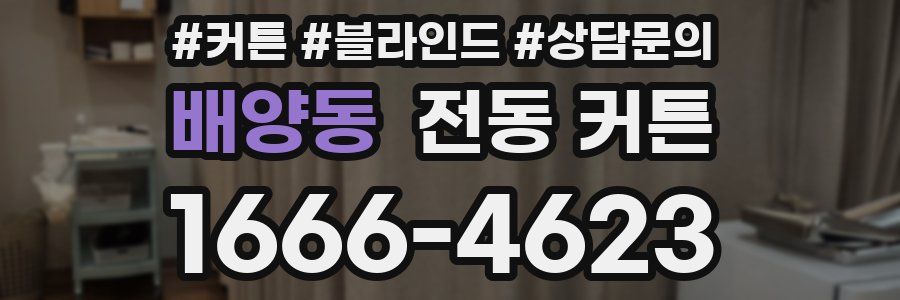 배양동 전동 커튼
