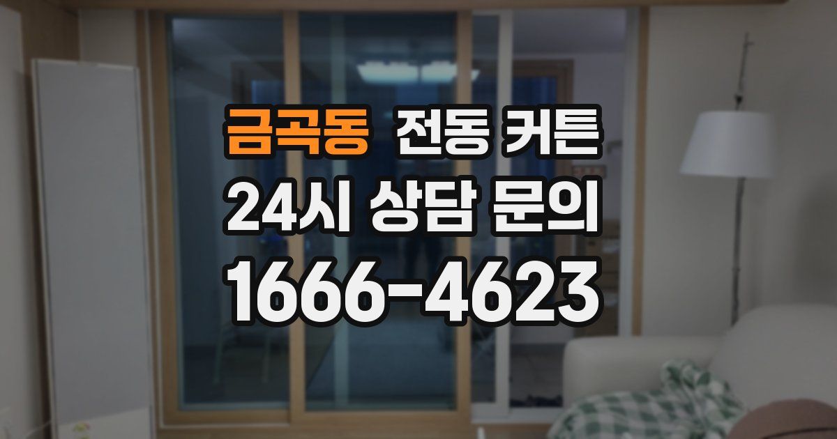 금곡동 전동 커튼