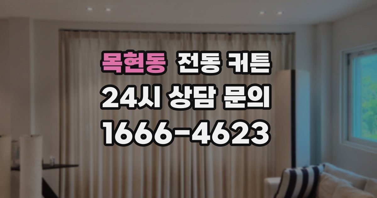 목현동 전동 커튼