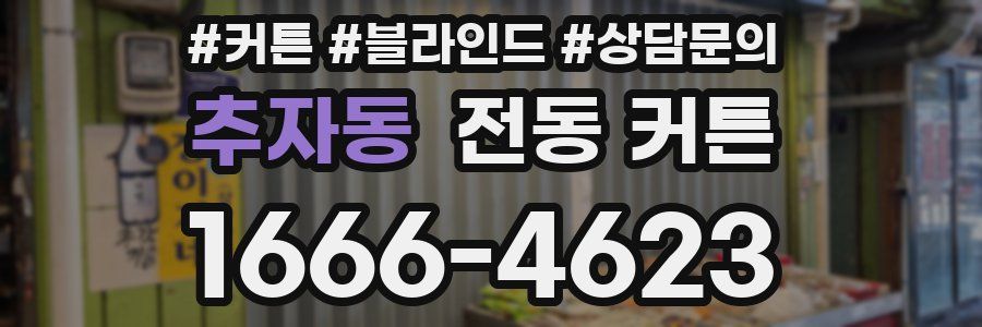 추자동 전동 커튼