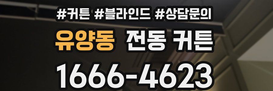 유양동 전동 커튼