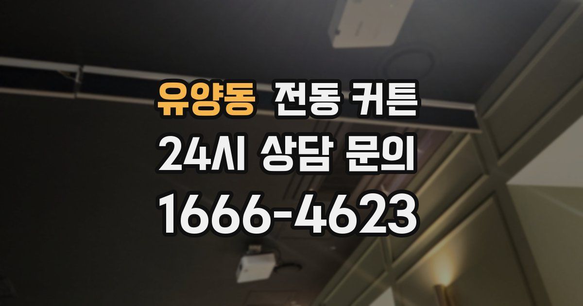 유양동 전동 커튼