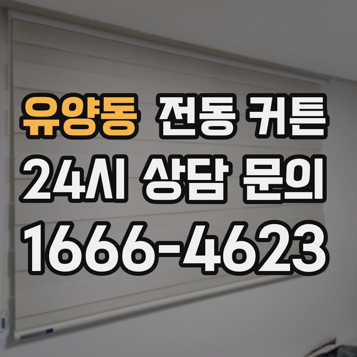 유양동 전동 커튼