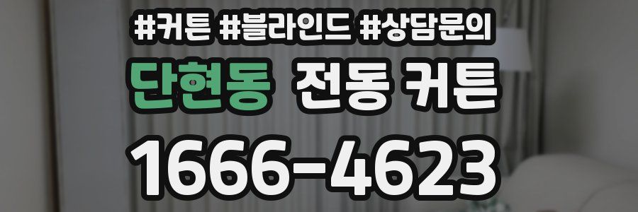 단현동 전동 커튼