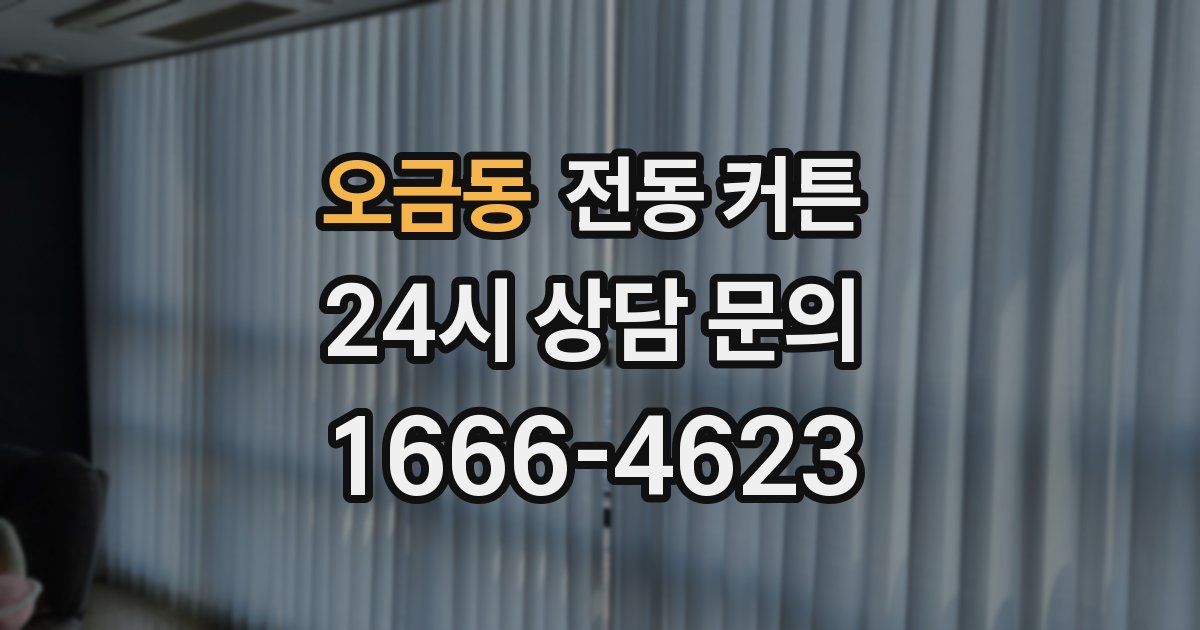 오금동 전동 커튼