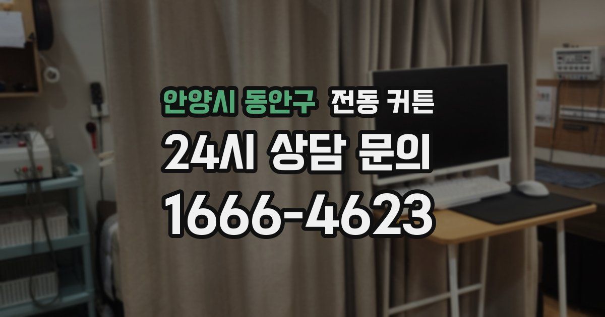 안양시 동안구 전동 커튼
