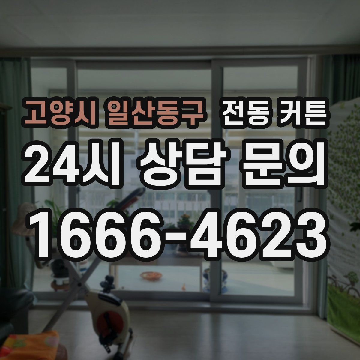 고양시 일산동구 전동 커튼