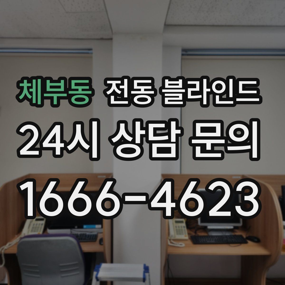체부동 전동 블라인드