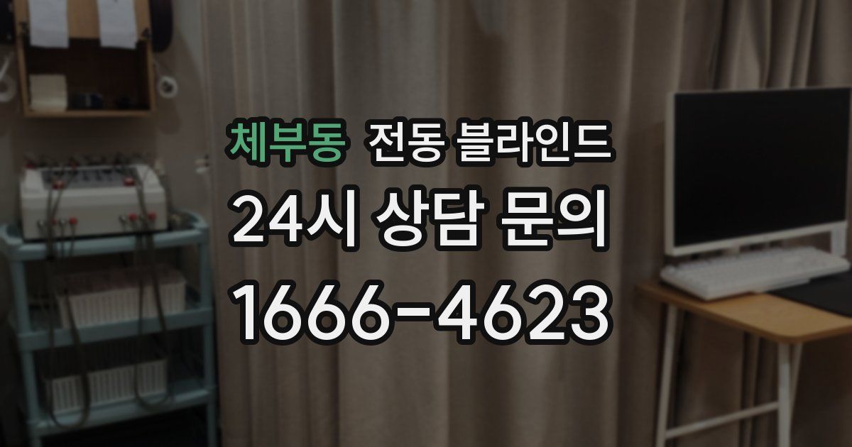 체부동 전동 블라인드