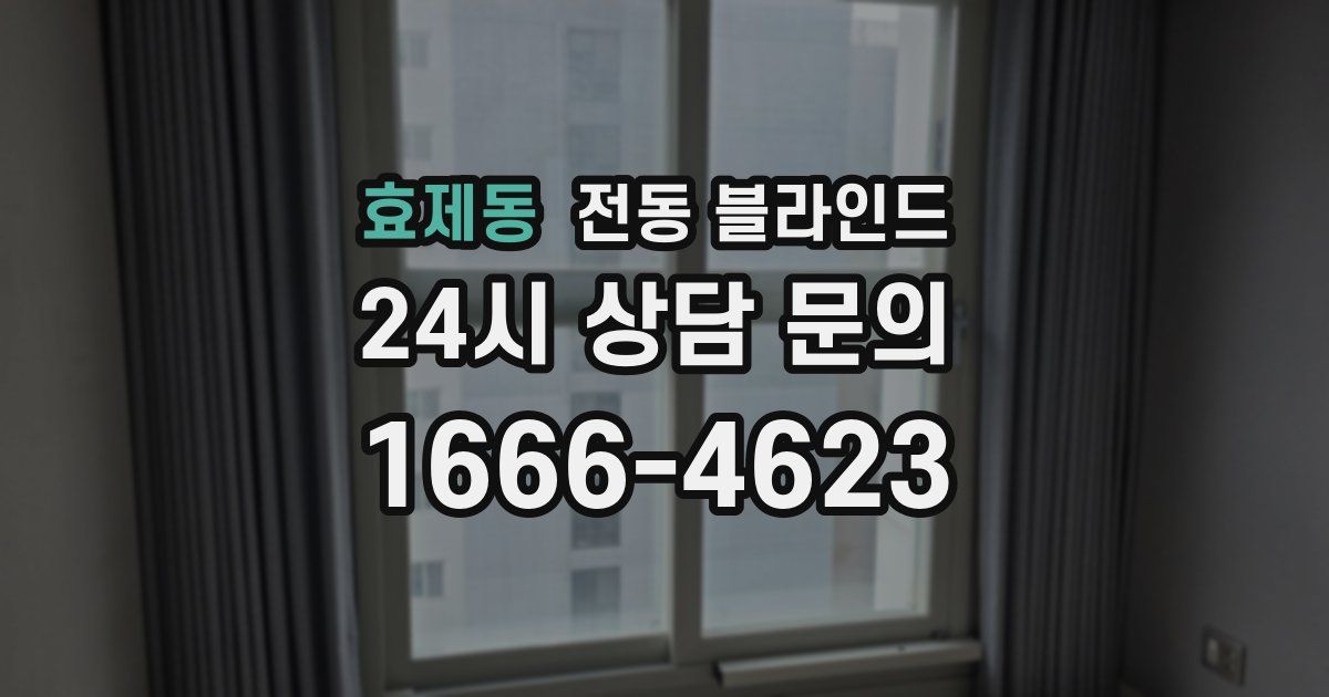 효제동 전동 블라인드