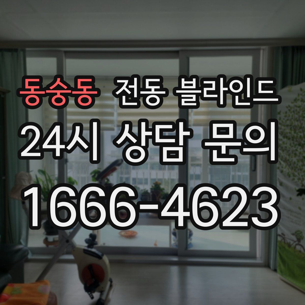 동숭동 전동 블라인드