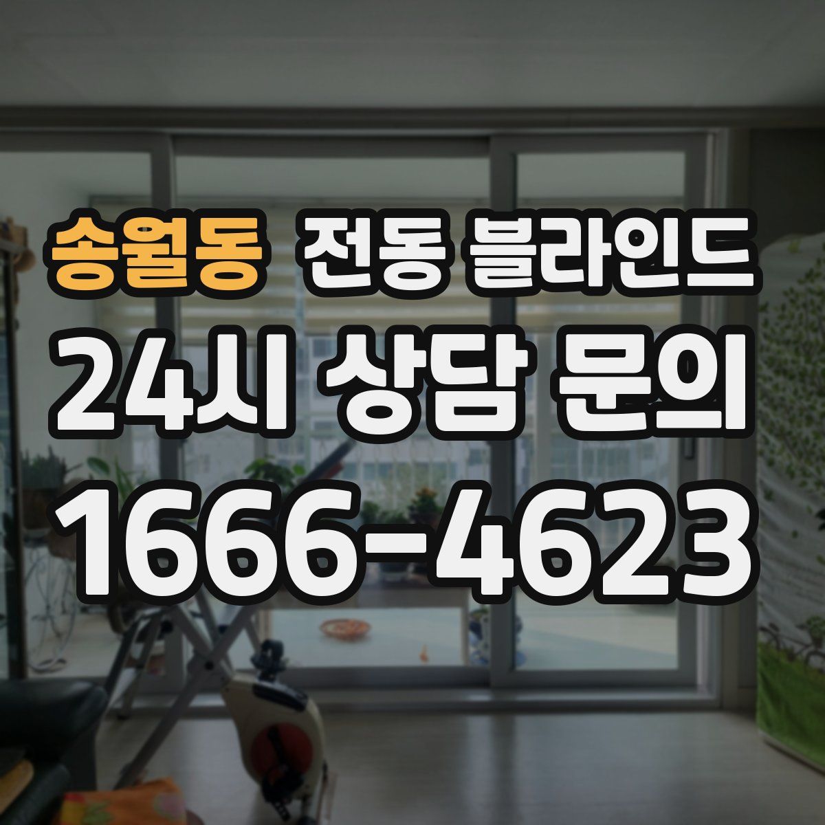 송월동 전동 블라인드