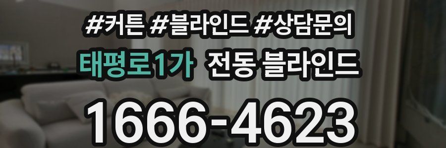 태평로1가 전동 블라인드