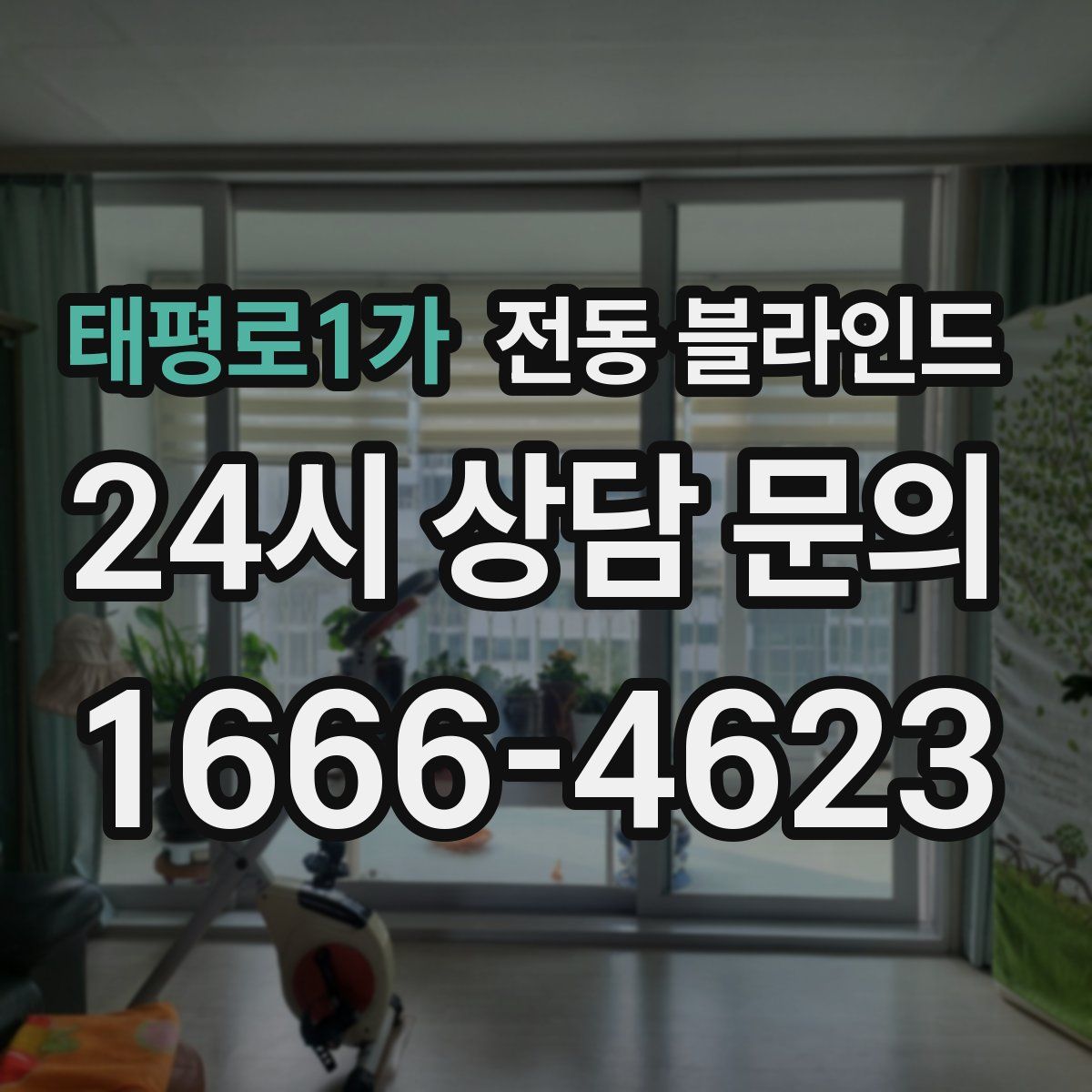 태평로1가 전동 블라인드