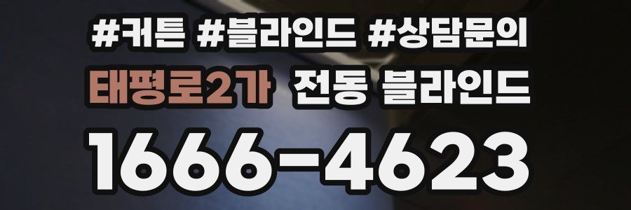 태평로2가 전동 블라인드