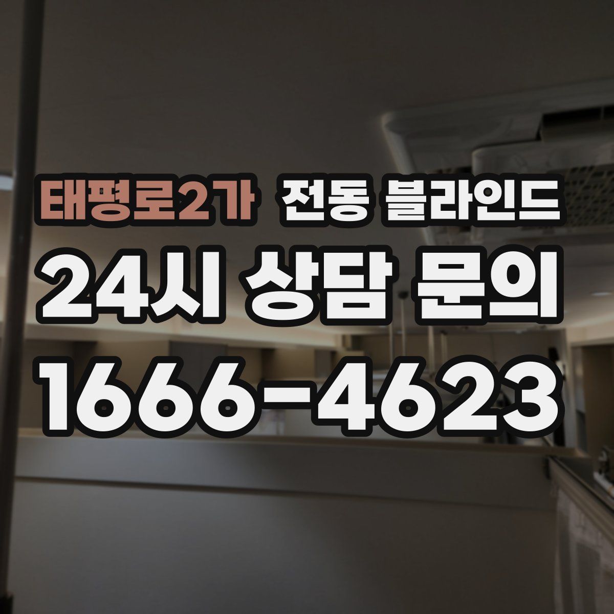 태평로2가 전동 블라인드