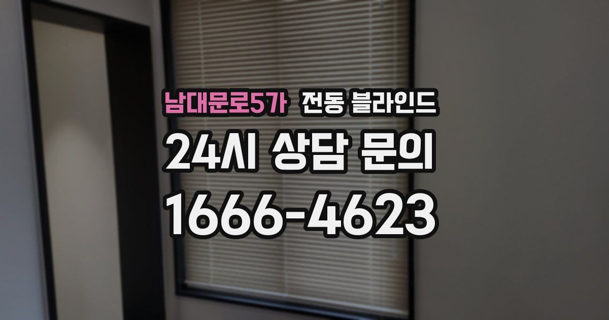 남대문로5가 전동 블라인드